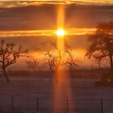 度假居 Ferienhaus Am Saaler Bodden