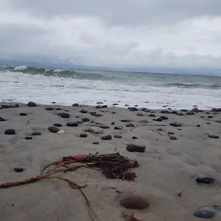 Ferienhaus Am Saaler Bodden * Beiershagen