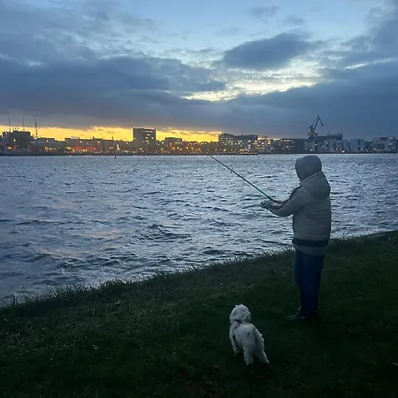 Ferienhaus Am Saaler Bodden Beiershagen