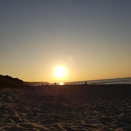 Ferienhaus Am Saaler Bodden 度假居 *