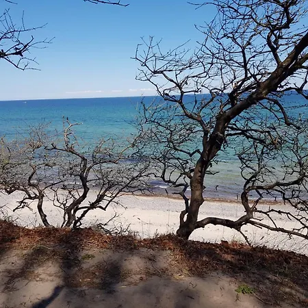 度假居 Ferienhaus Am Saaler Bodden *