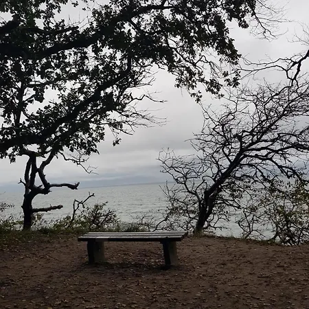 Ferienhaus Am Saaler Bodden Beiershagen